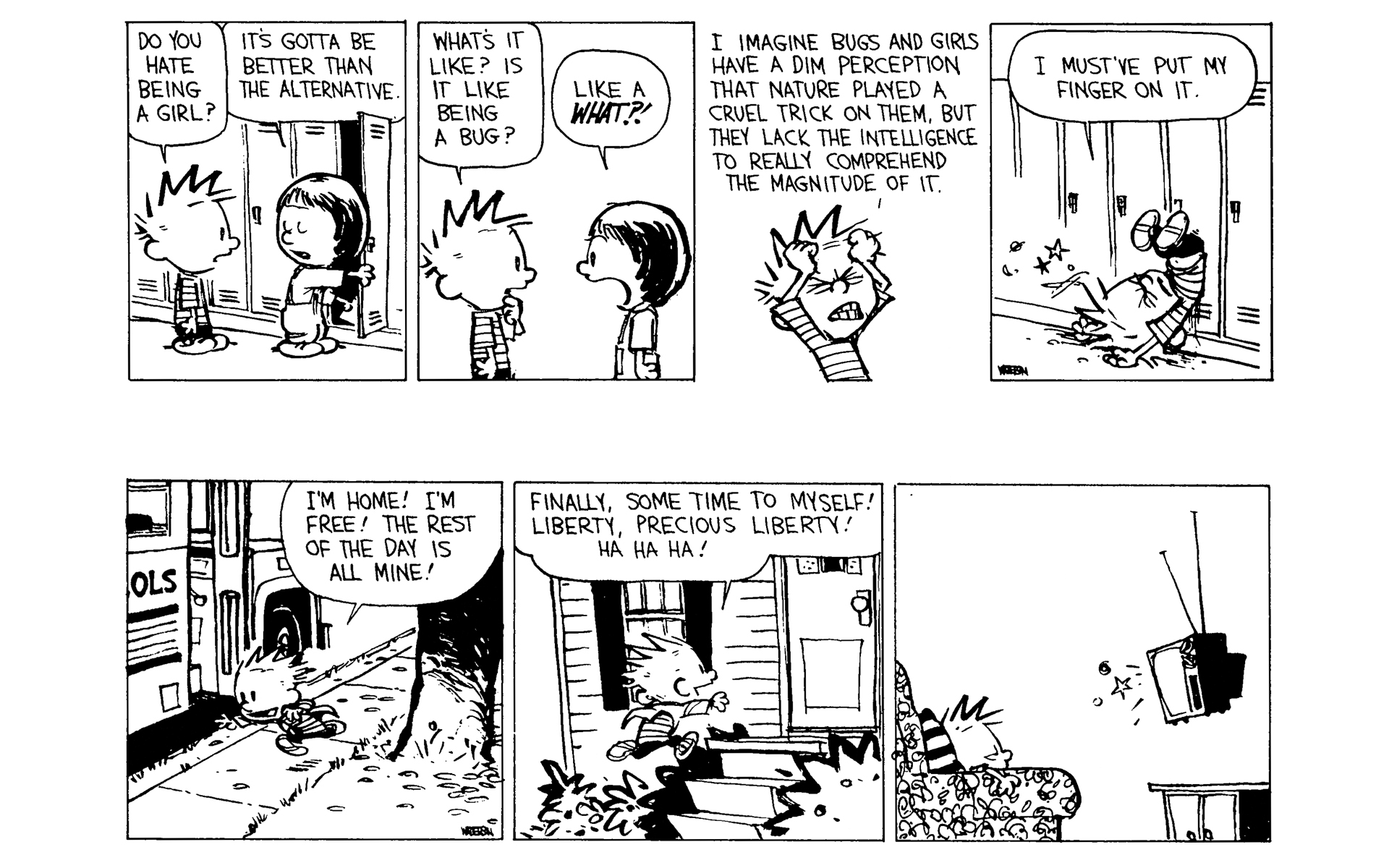 Calvin and Hobbes Issue #9 - Page 19