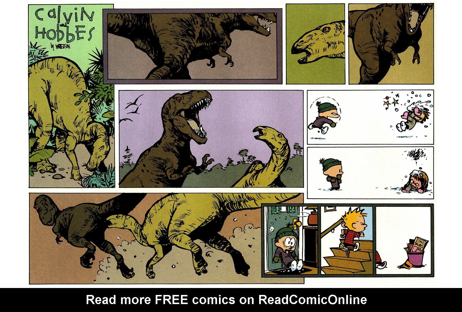 Calvin and Hobbes Issue #9 - Page 49