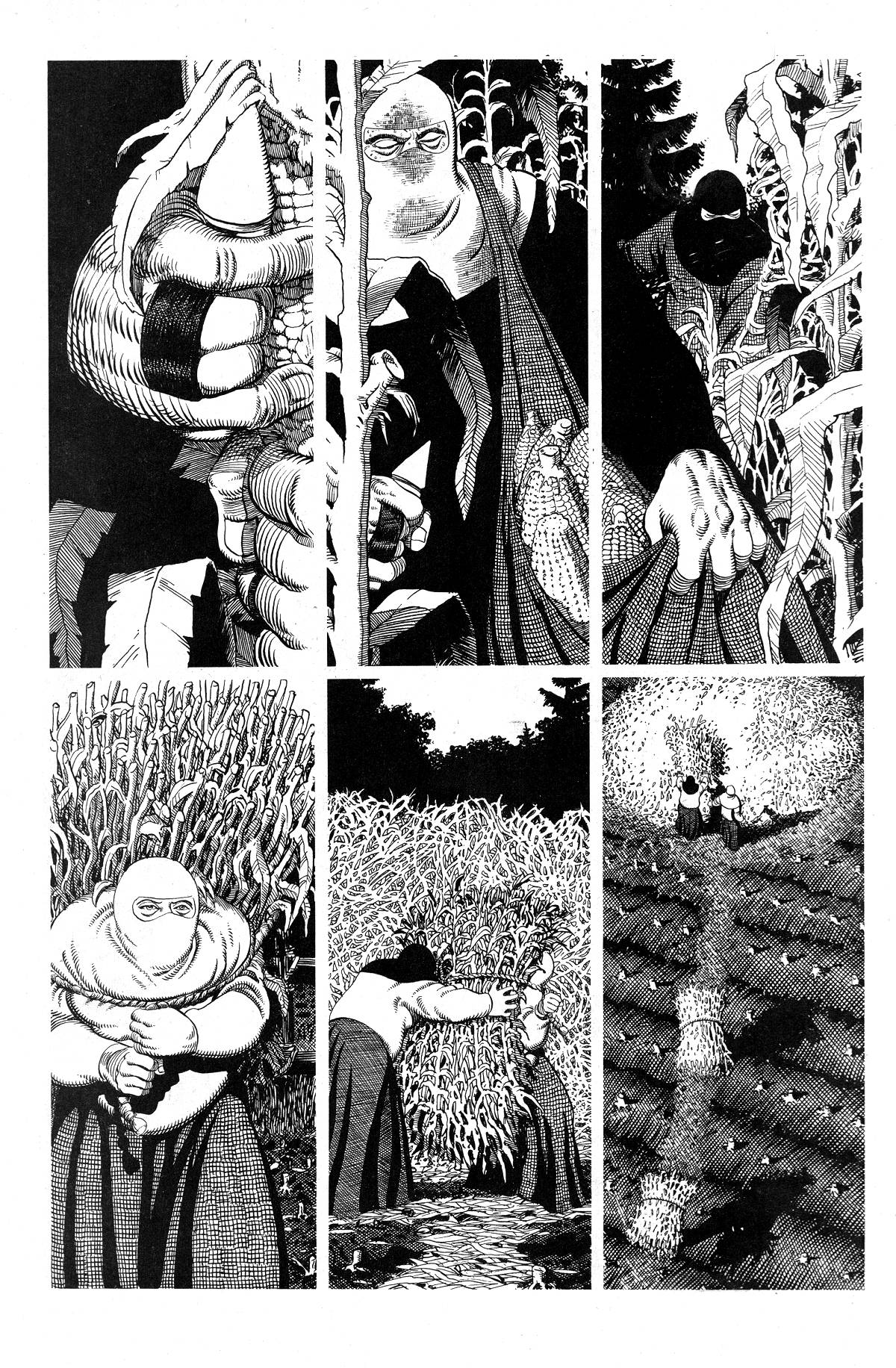 Cerebus Issue #208 - Page 3
