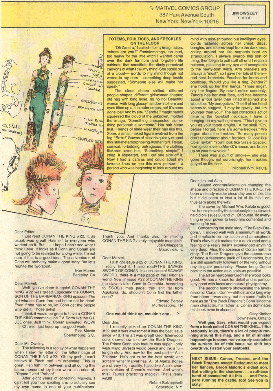 Conan the King Issue #24 - Page 41