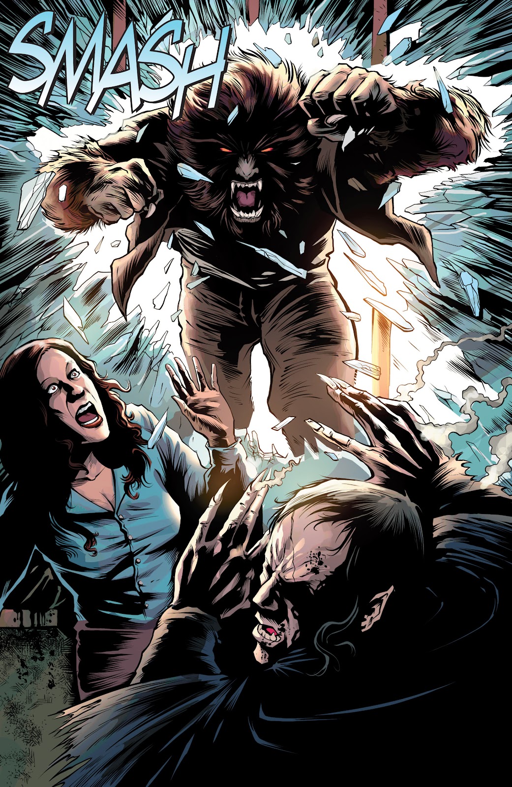 Dark Shadows (2011) Issue #16 - Page 16
