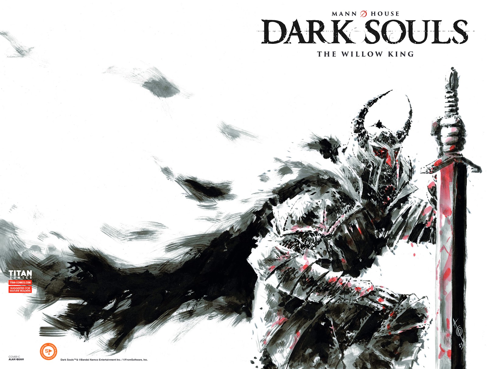 Dark Souls: The Willow King Issue #2 - Page 3