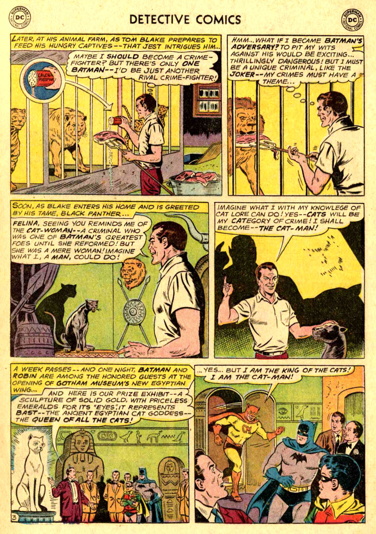 Detective Comics (1937) Issue #311 - Page 5