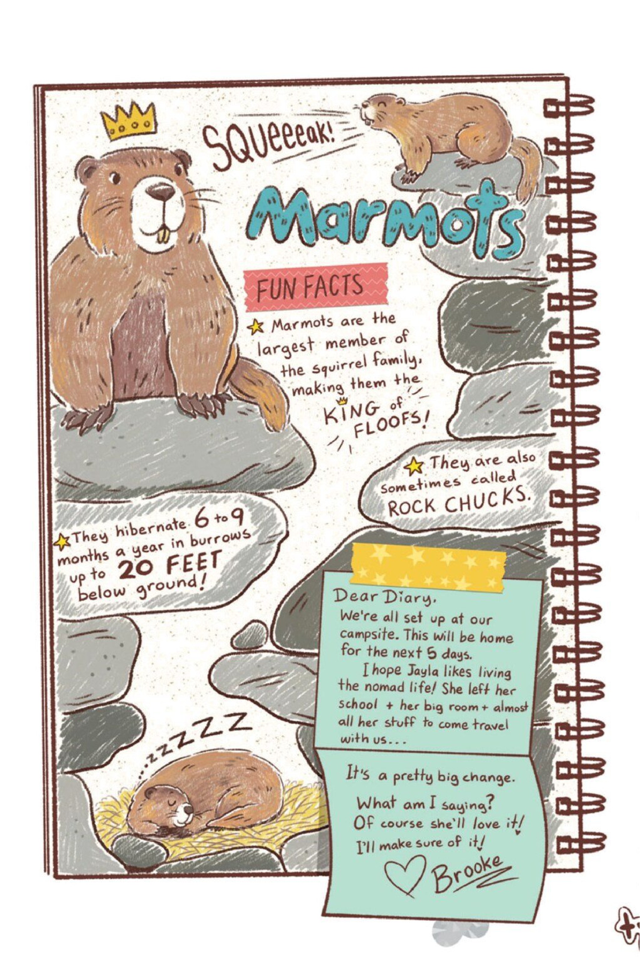 Diary of a Nature Nerd Full (Part 1) - Page 24