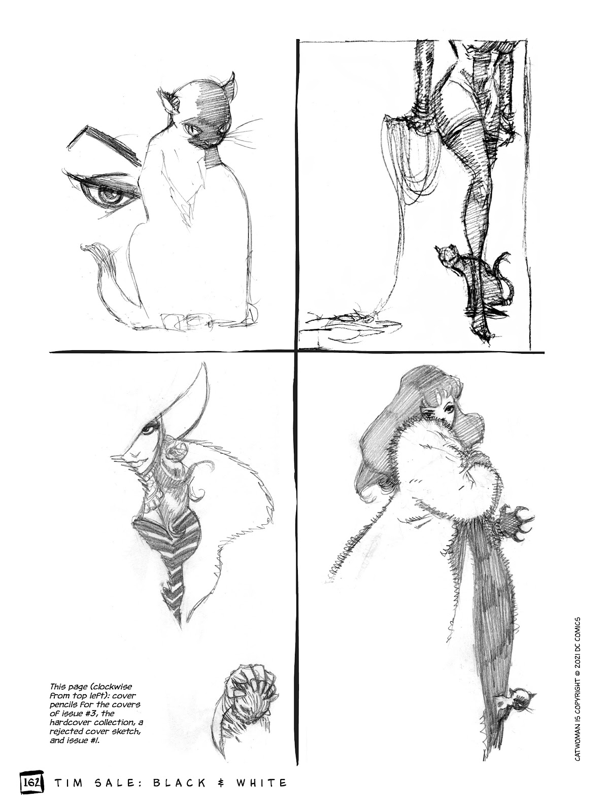 Drawing Heroes in the Backyard: Tim Sale Black and White, Revised and Expanded TPB (Part 2) - Page 51