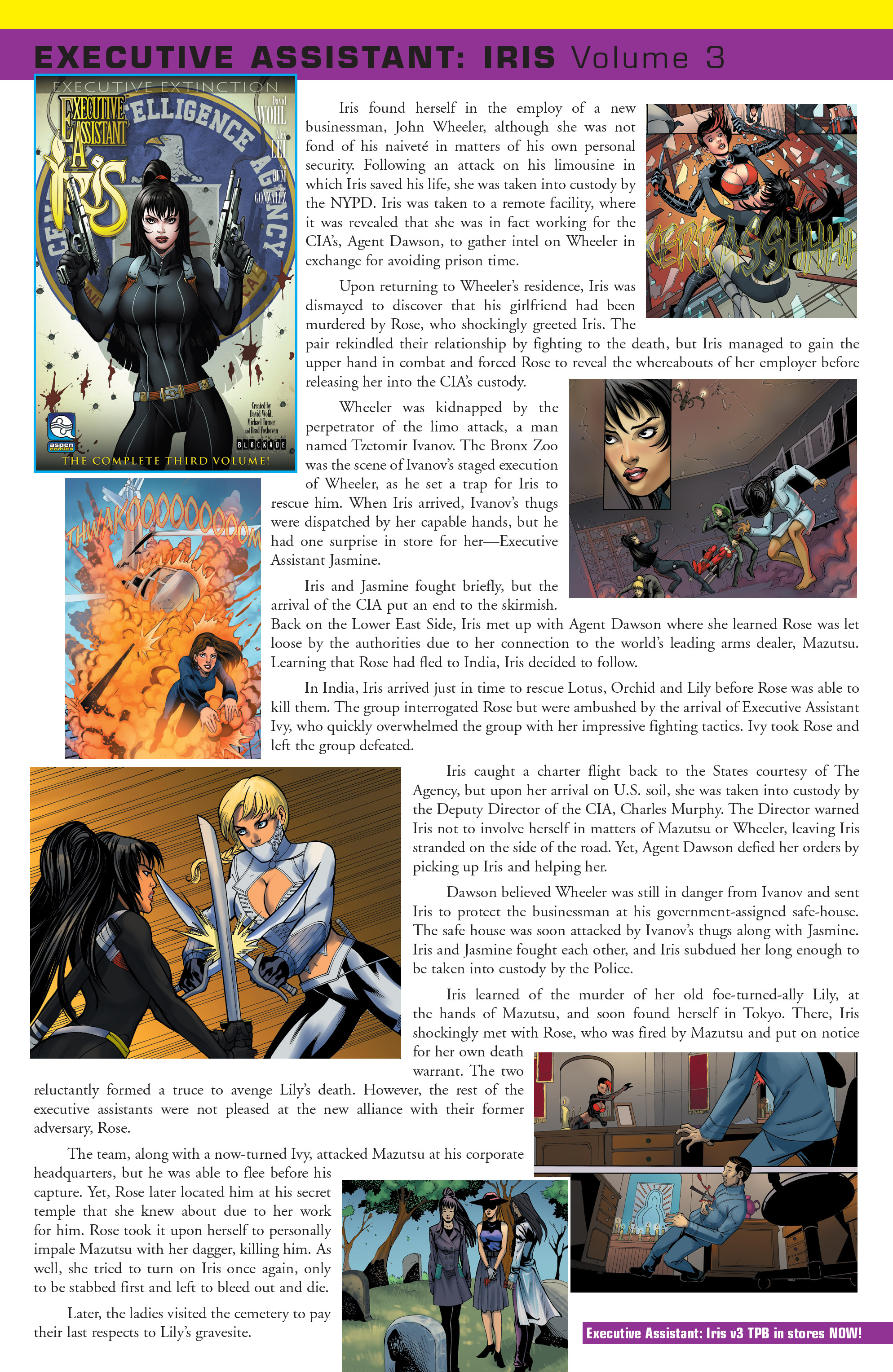 Executive Assistant: Iris Primer Full - Page 13