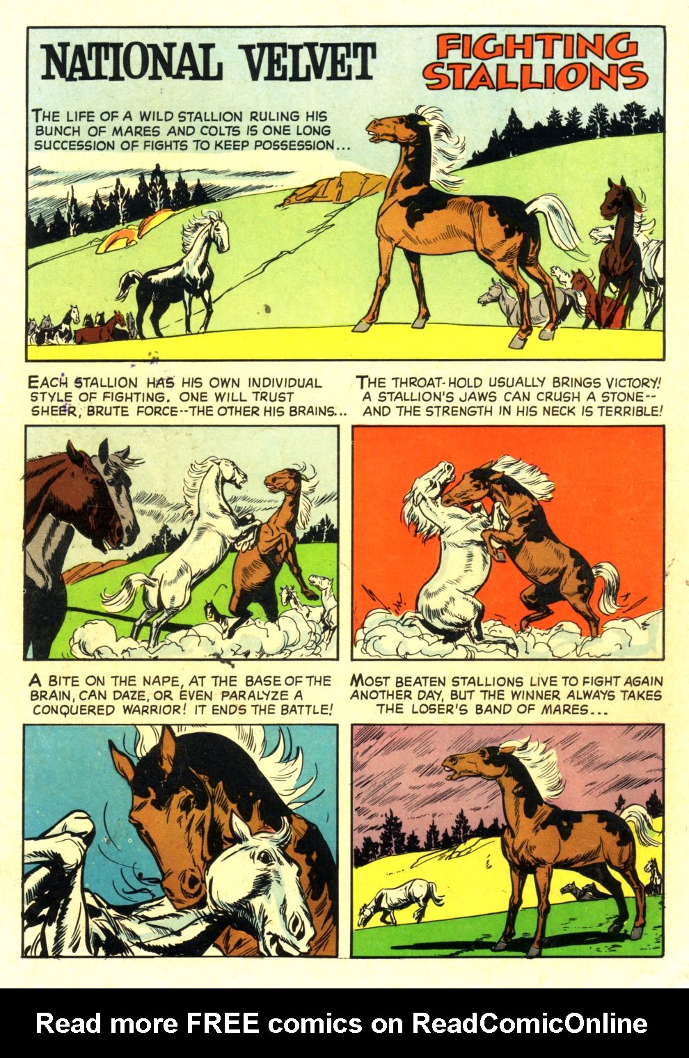 Four Color Comics Issue #1312 - Page 36