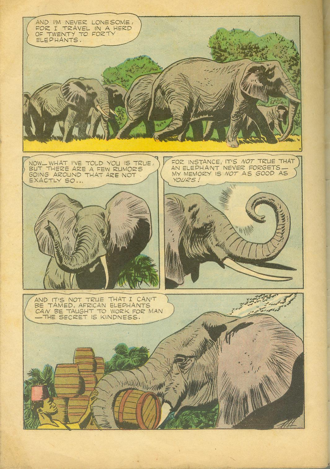 Four Color Comics Issue #727 - Page 34