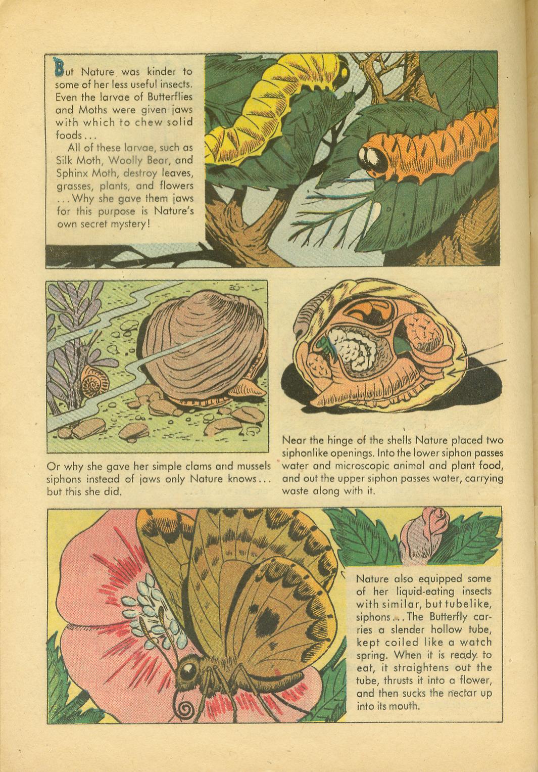 Four Color Comics Issue #749 - Page 28