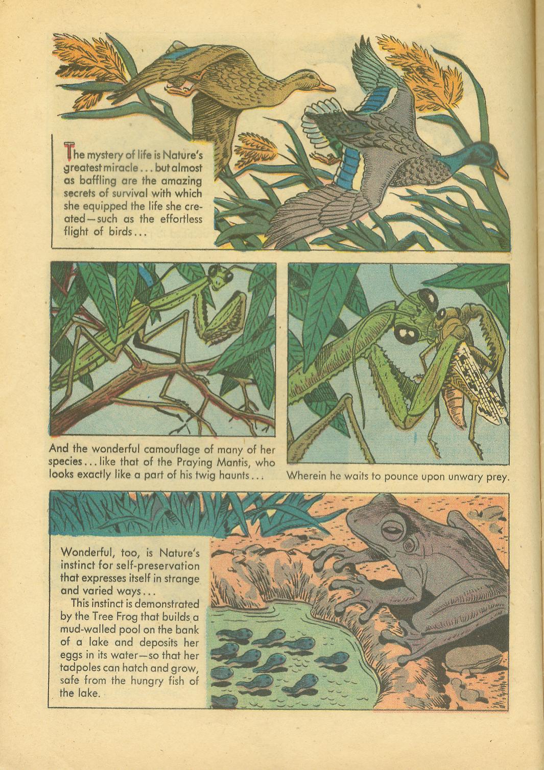 Four Color Comics Issue #749 - Page 8