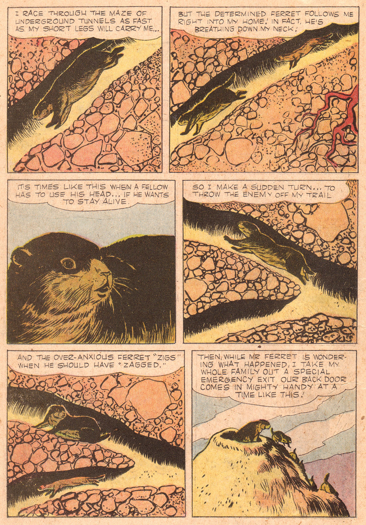 Four Color Comics Issue #842 - Page 19