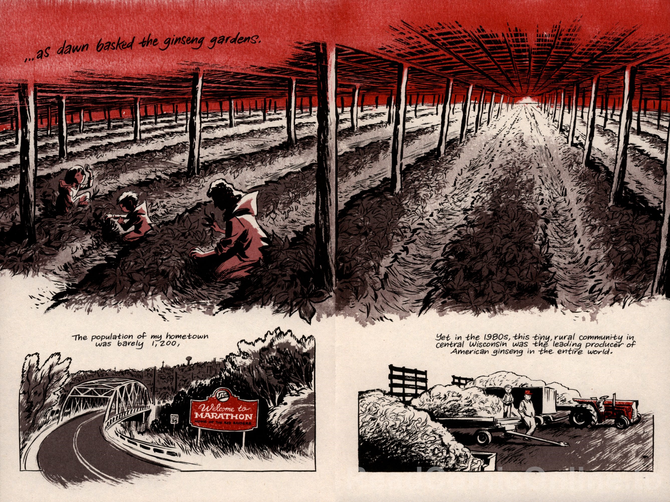 Ginseng Roots Issue #1 - Page 6