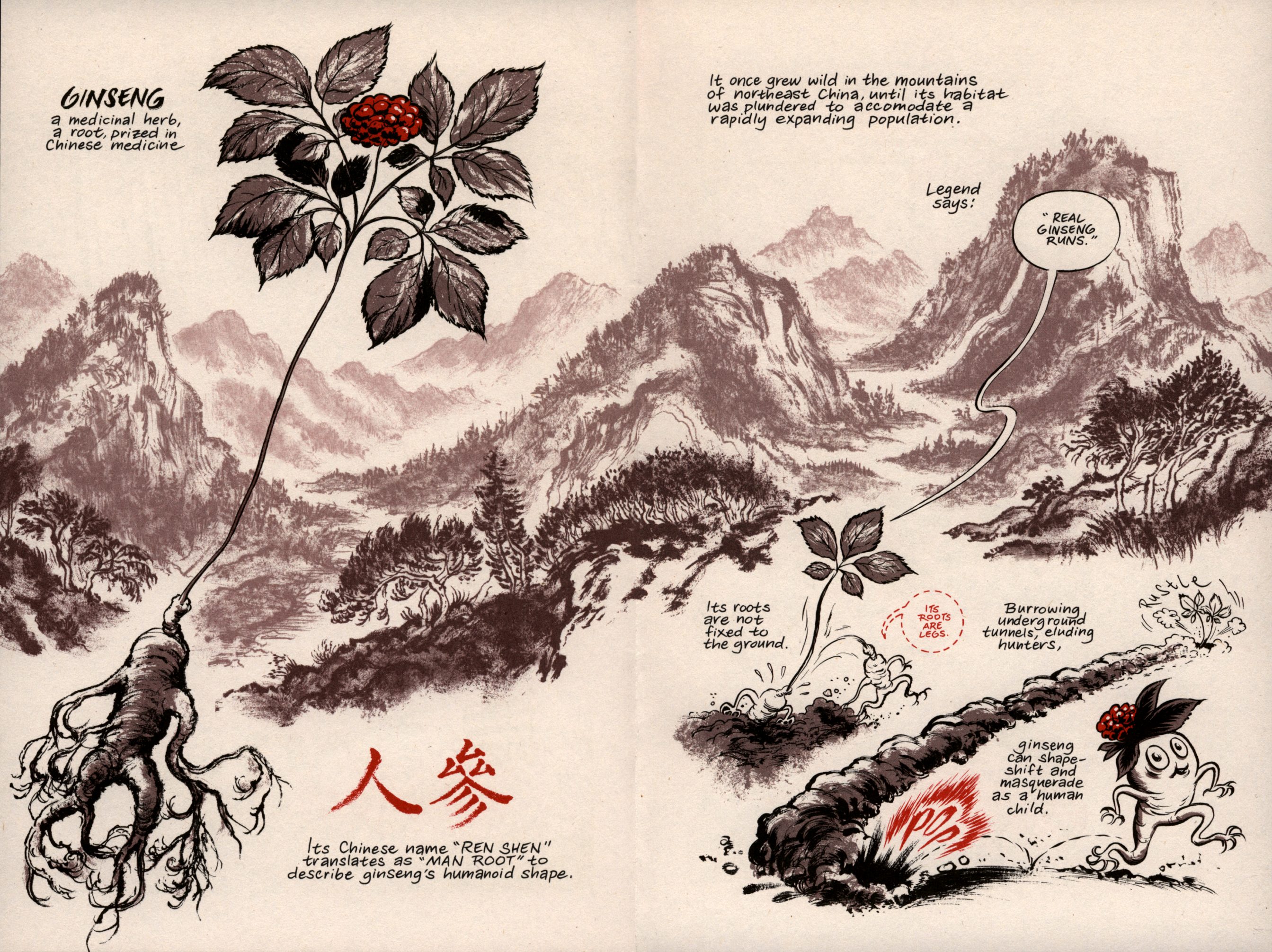 Ginseng Roots Issue #1 - Page 7