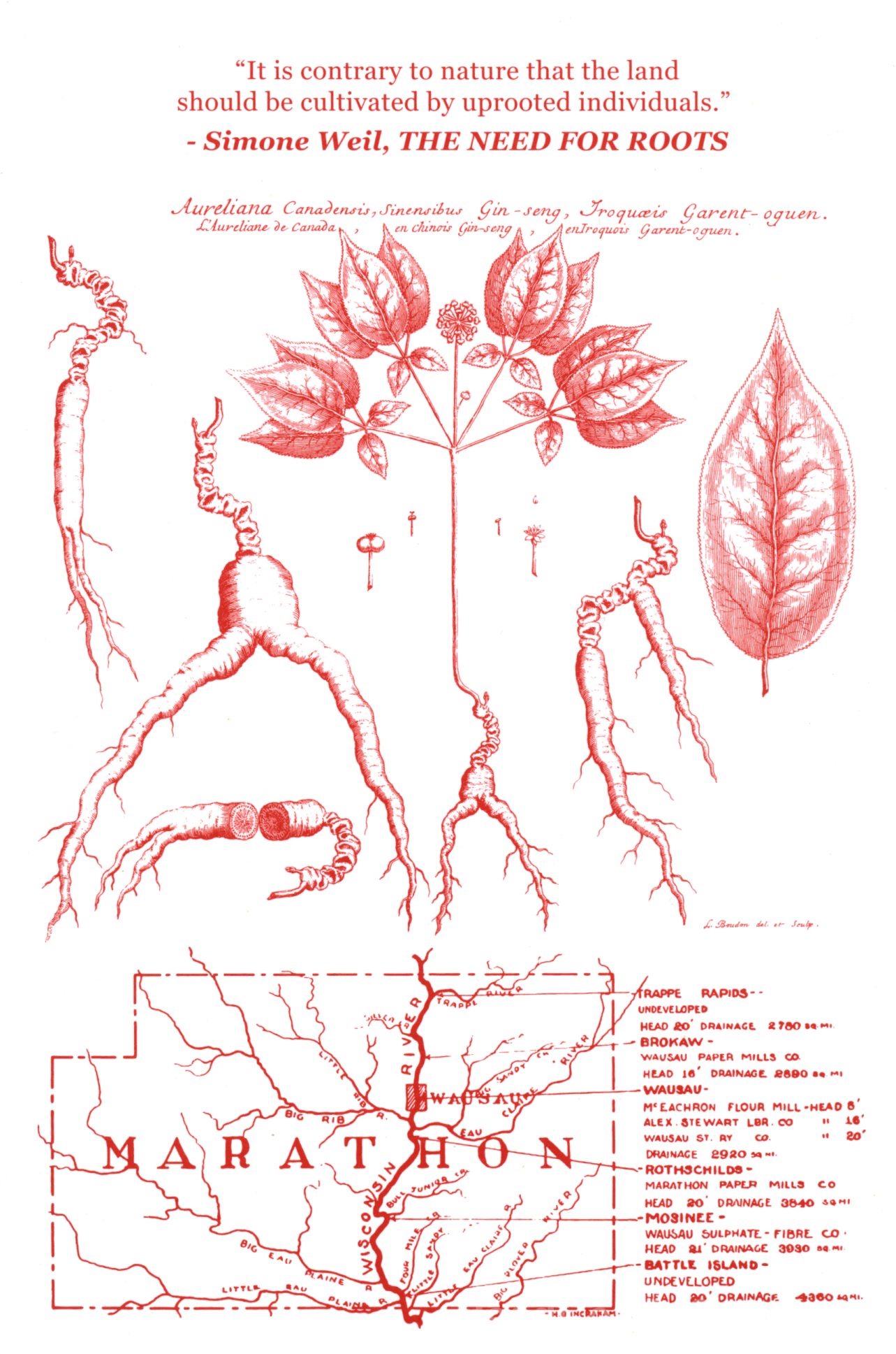 Ginseng Roots Issue #5 - Page 2