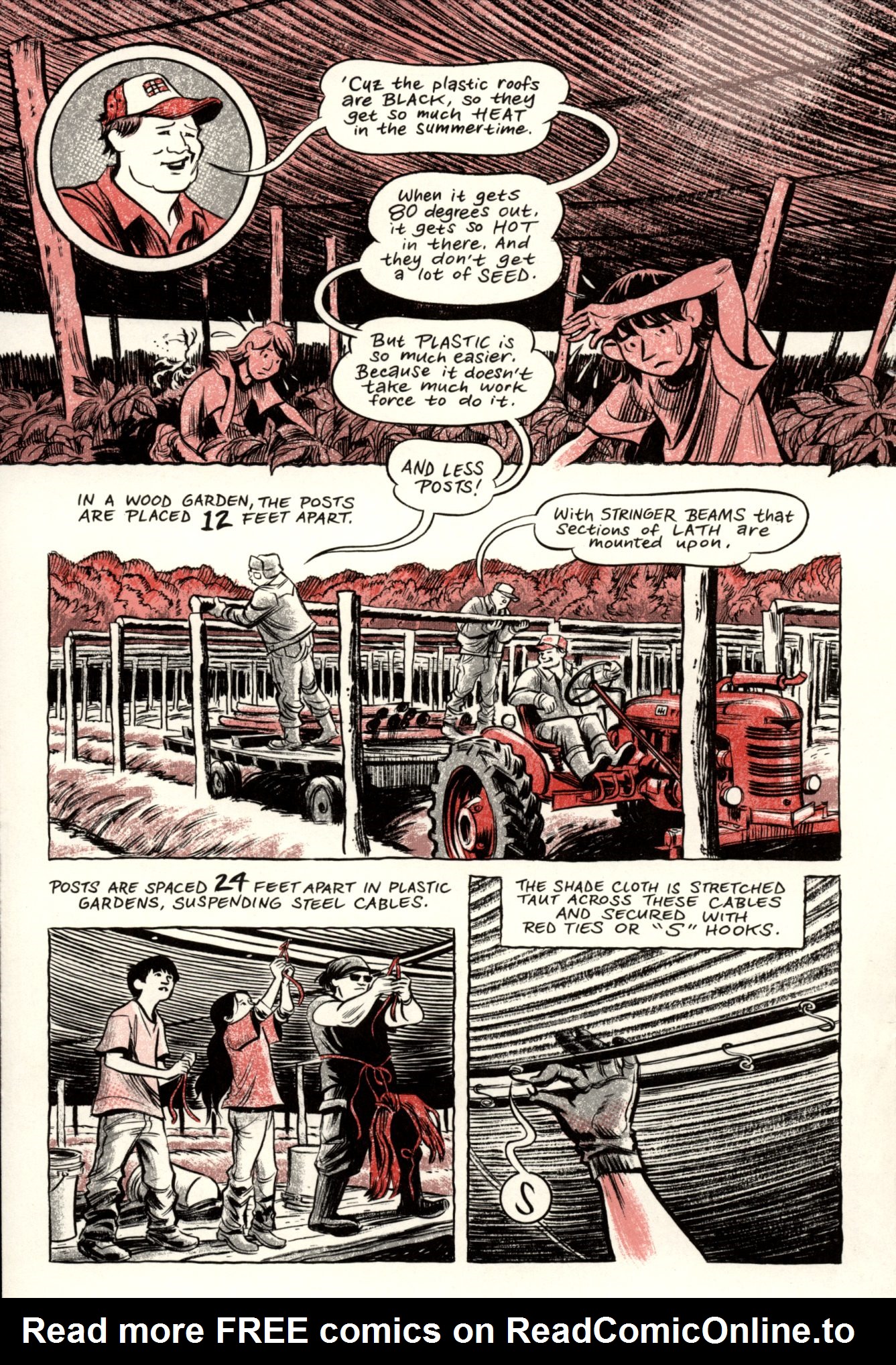 Ginseng Roots Issue #6 - Page 18