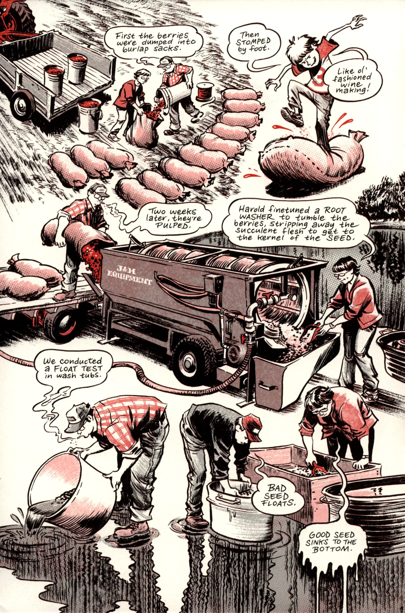 Ginseng Roots Issue #6 - Page 6