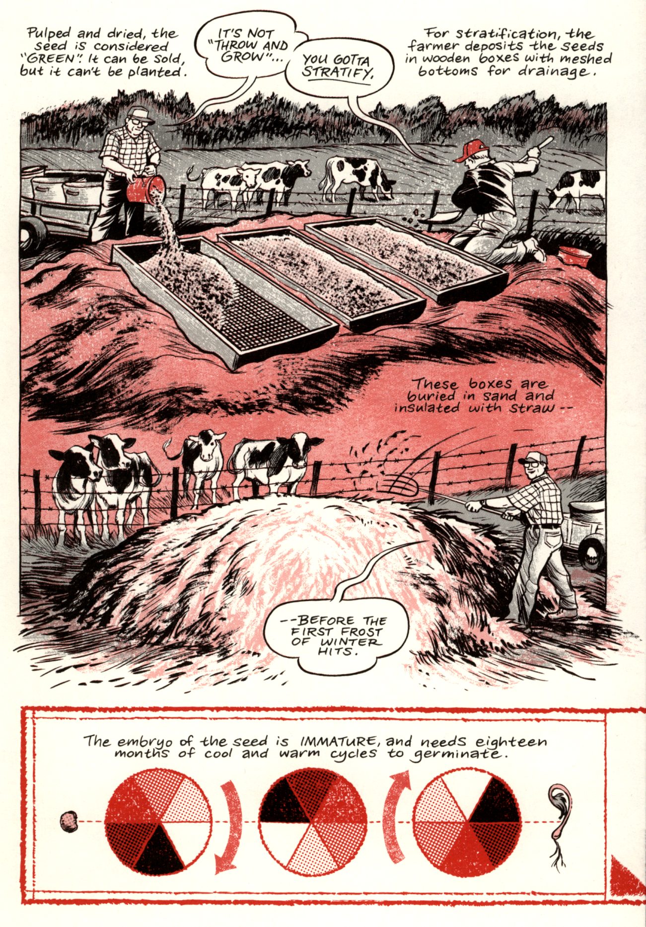 Ginseng Roots Issue #6 - Page 7
