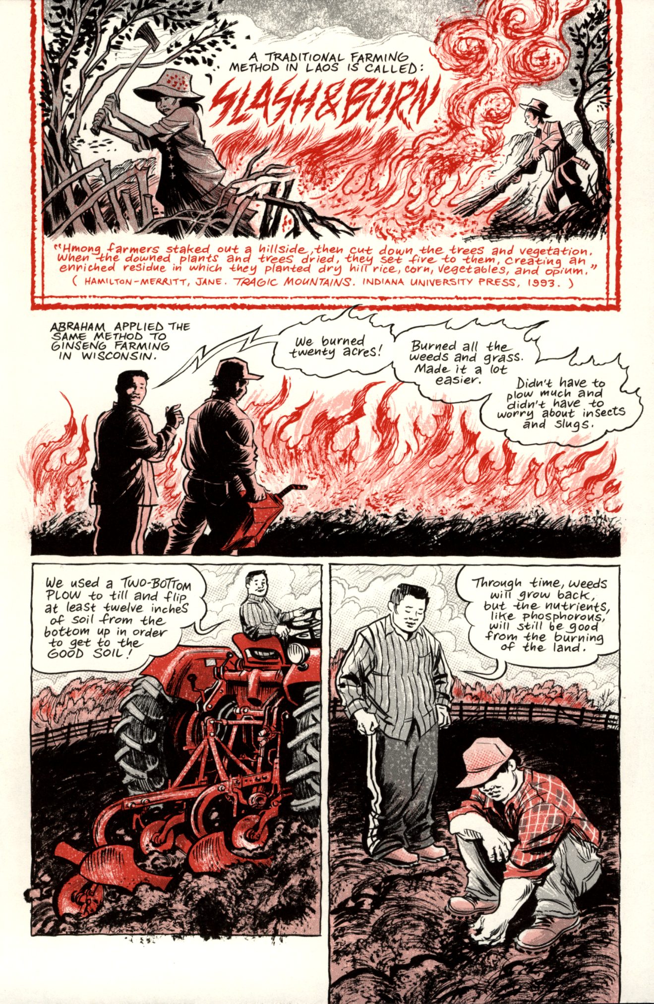Ginseng Roots Issue #8 - Page 7