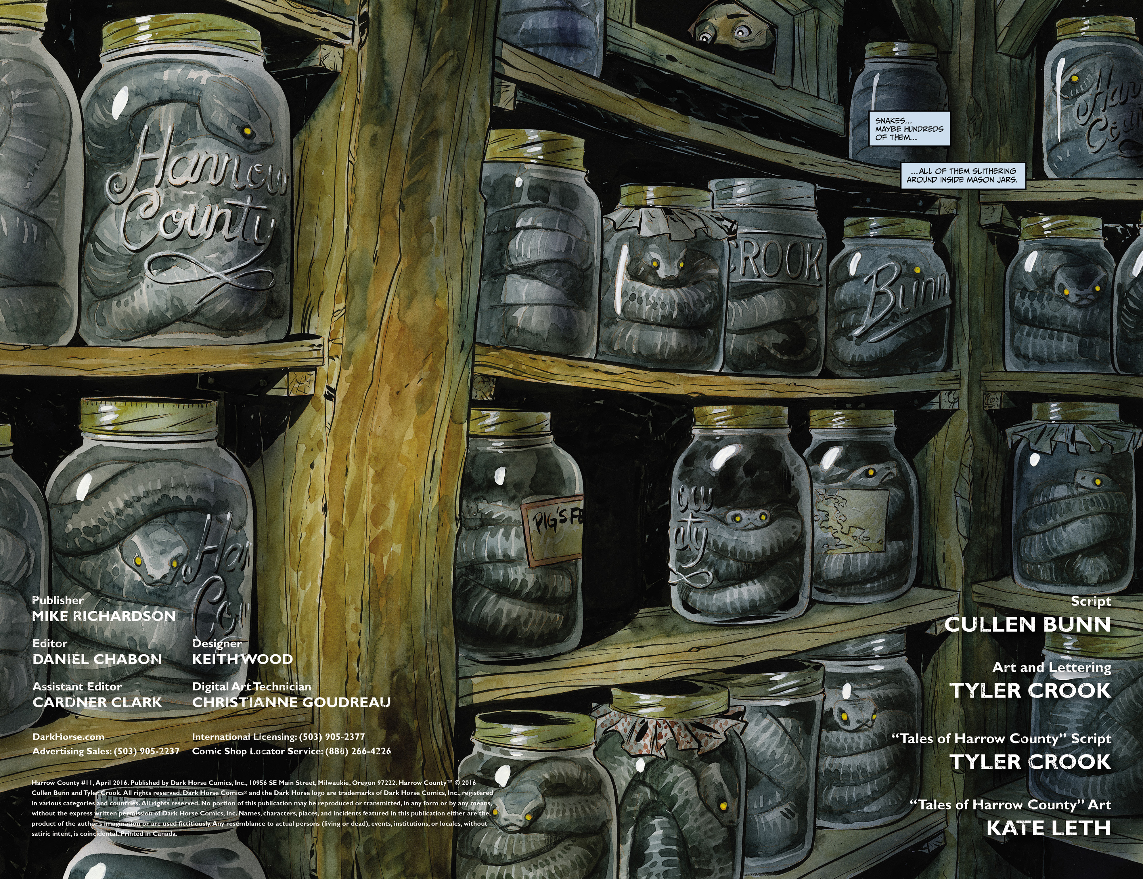 Harrow County Issue #11 - Page 2