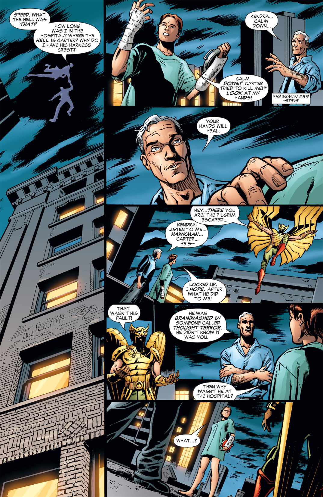 Hawkman (2002) Issue #42 - Page 10