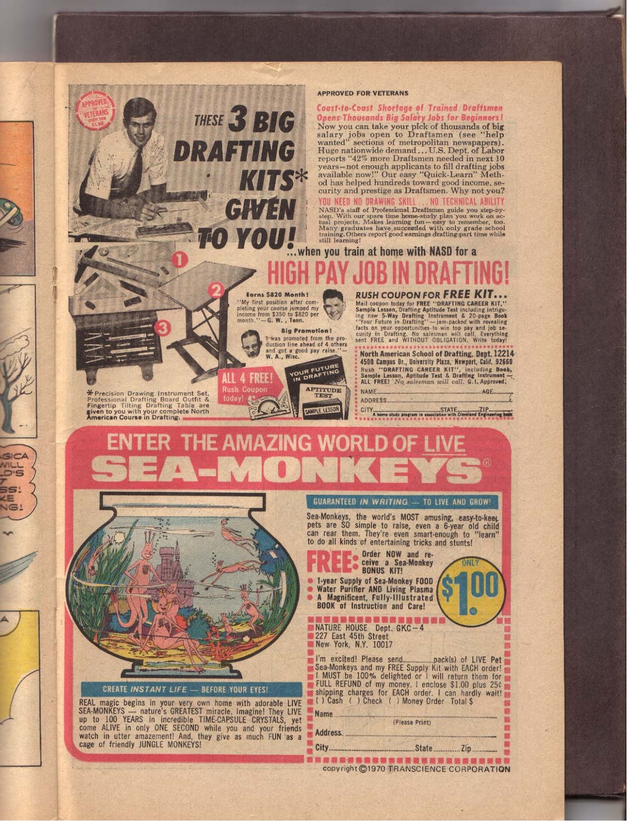 Huey, Dewey, and Louie Junior Woodchucks Issue #10 - Page 23
