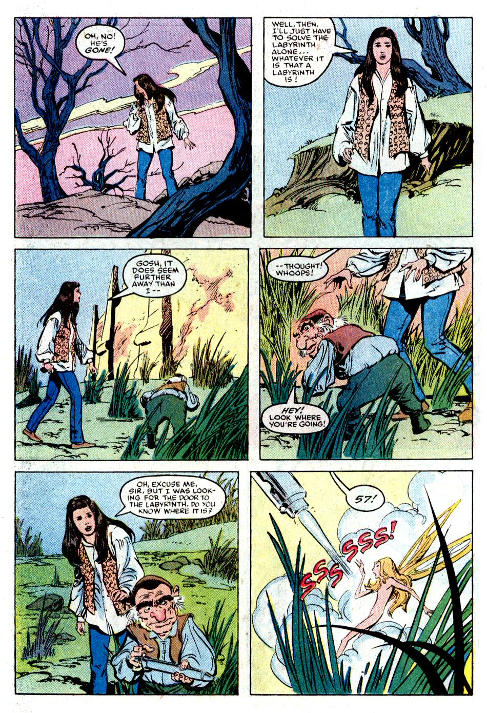 Labyrinth: The Movie Issue #1 - Page 17