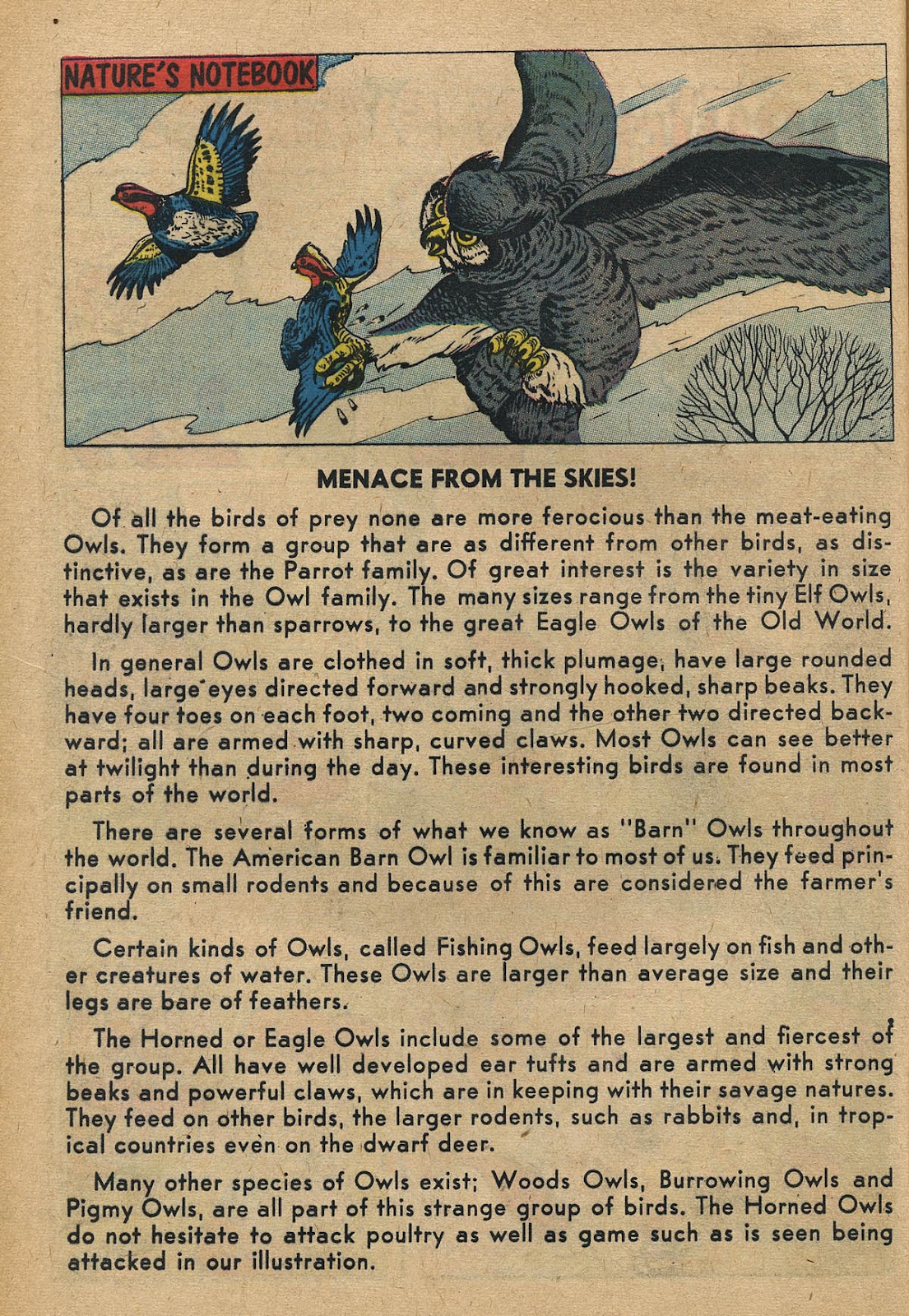 Little Archie (1956) Issue #11 - Page 44