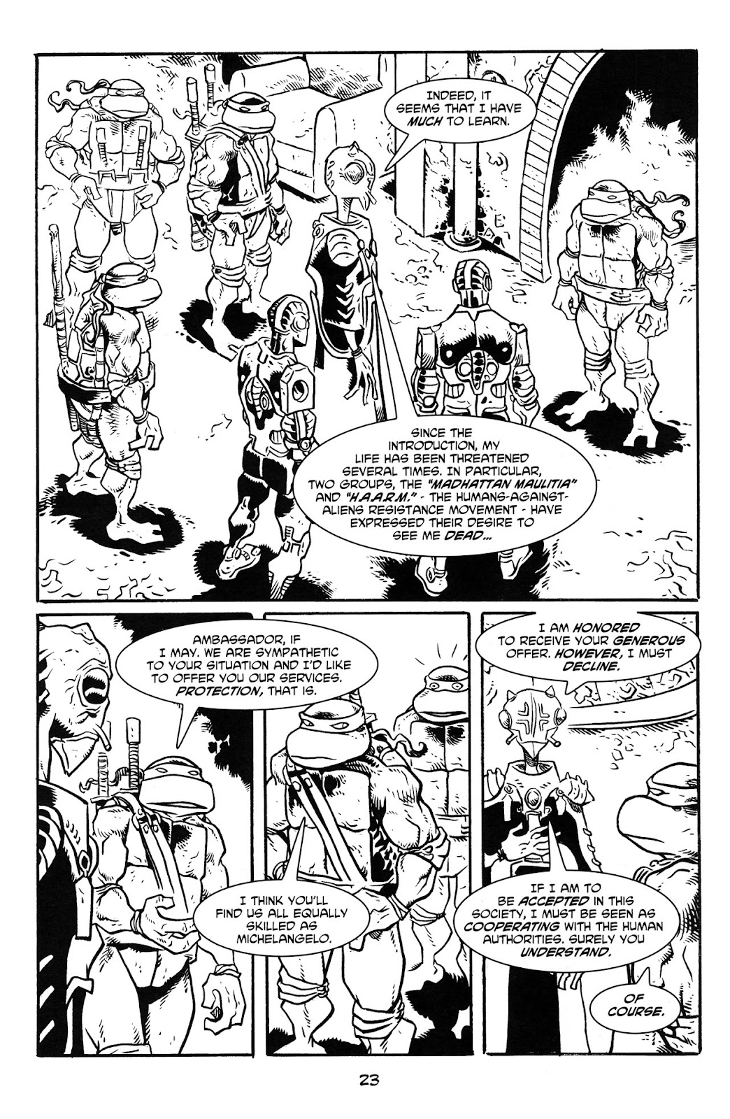 Michelangelo The Third Kind Issue #2 - Page 25