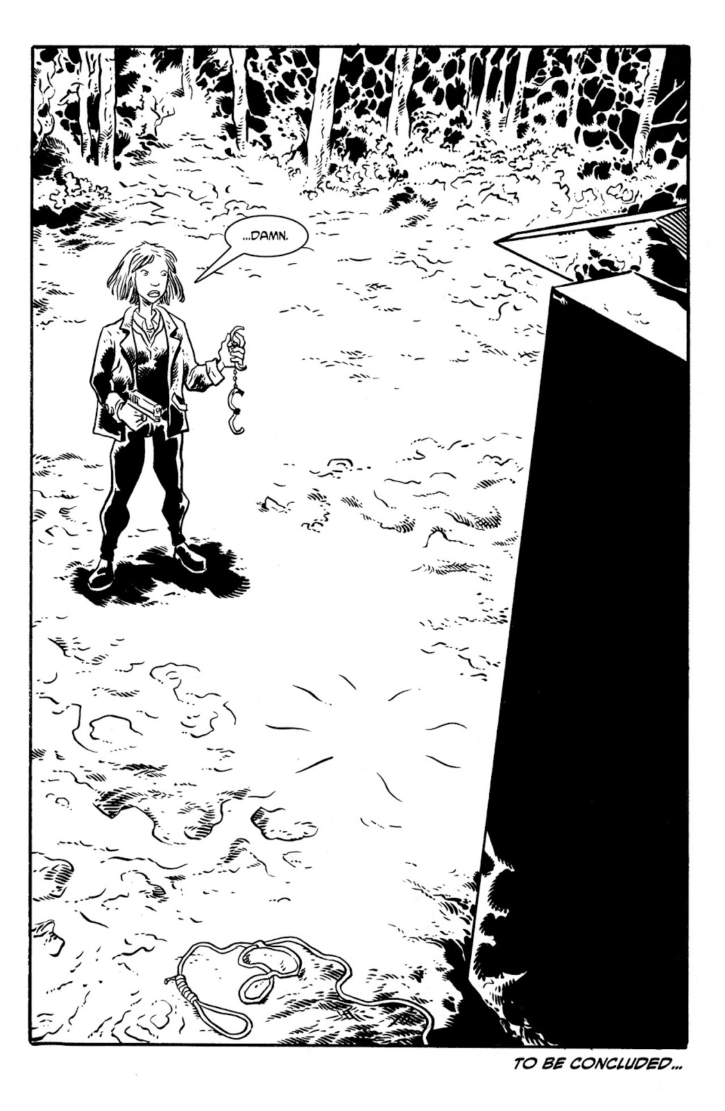 Michelangelo The Third Kind Issue #3 - Page 30