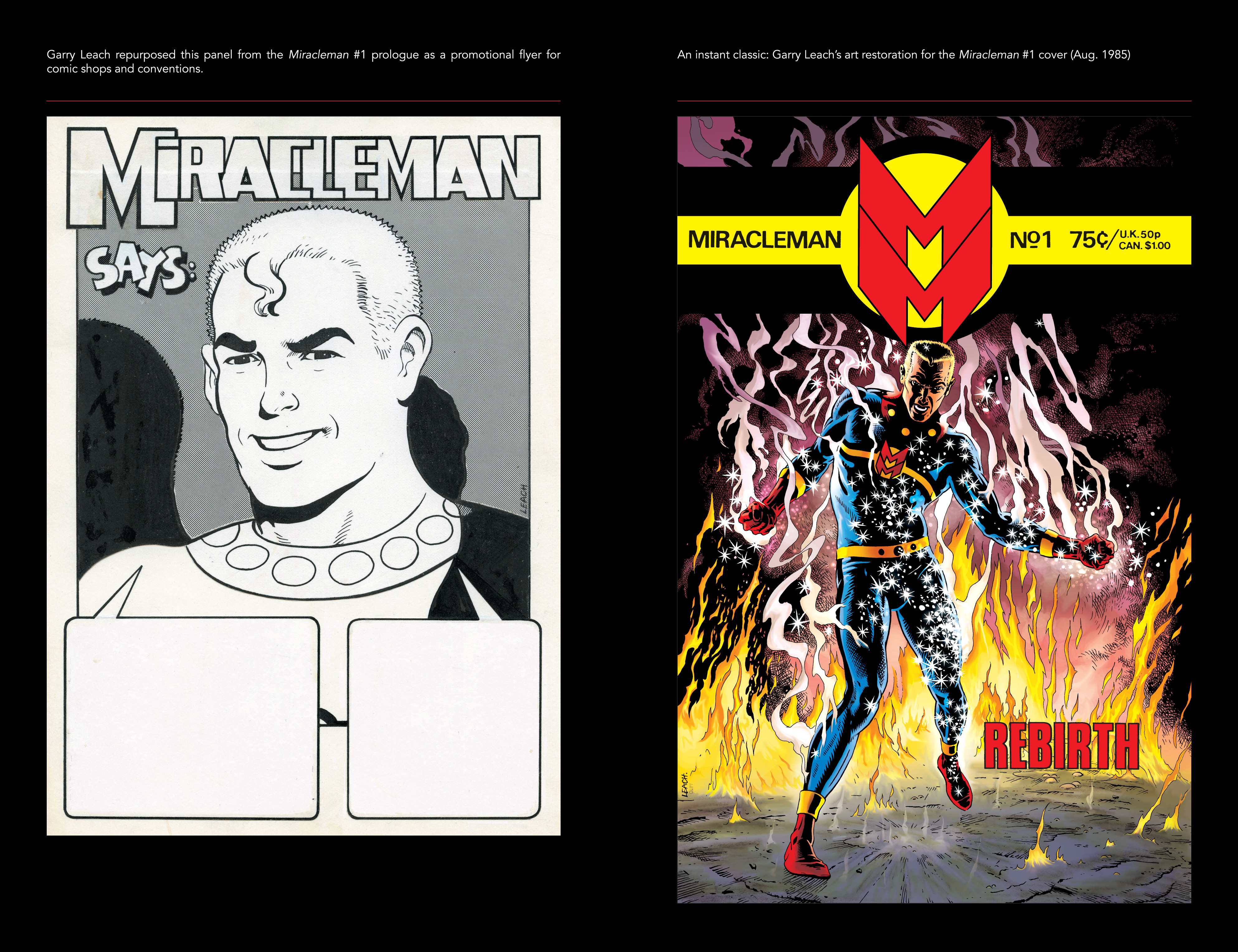 Miracleman (2014) Issue #1 - Page 30