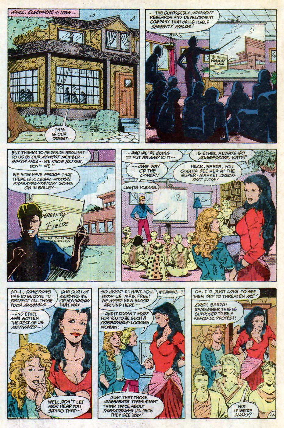 Mister Miracle (1989) Issue #11 - Page 13