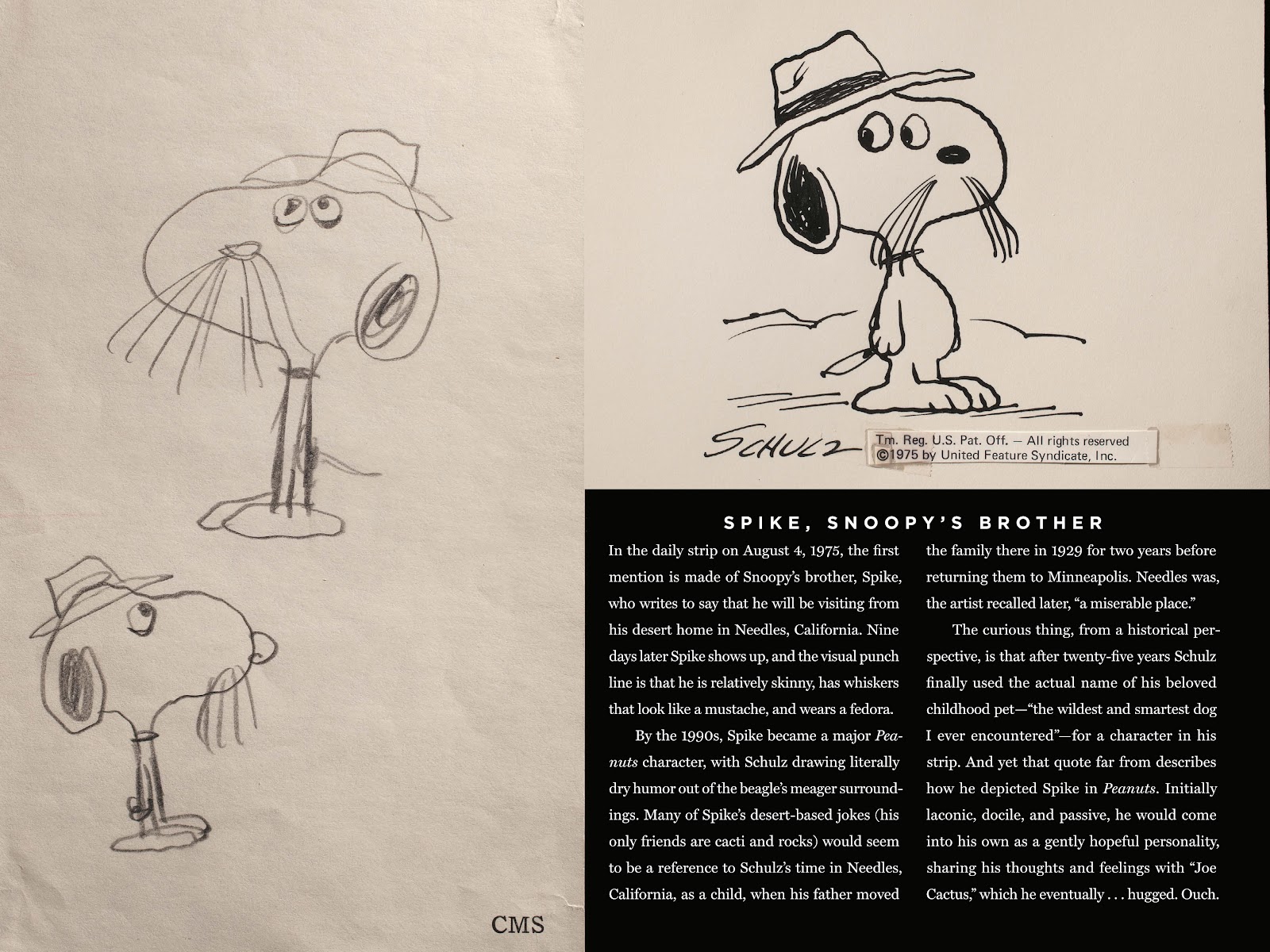 Only What's Necessary: Charles M. Schulz and the Art of Peanuts TPB_(Part_3) - Page 27