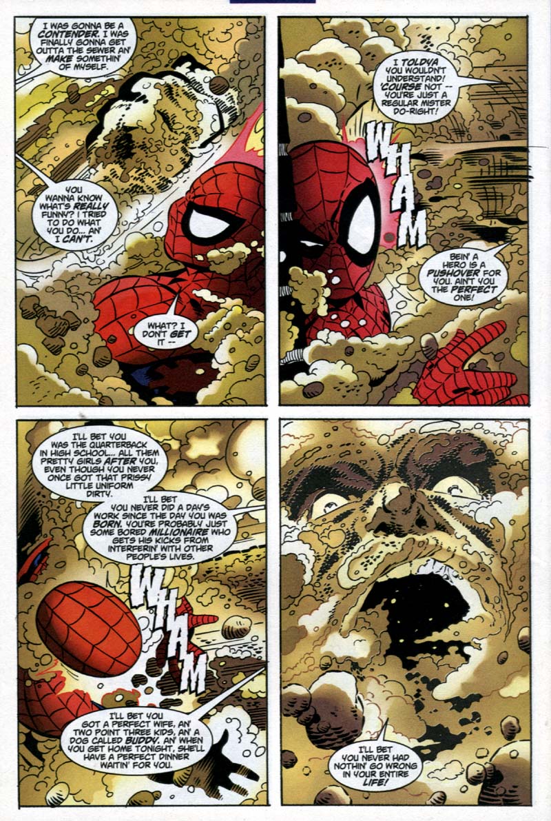 Peter Parker: Spider-Man Issue #22 - Page 17