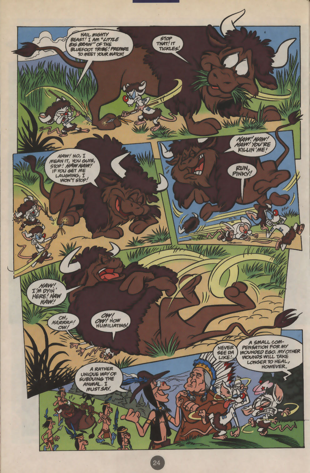 Pinky and The Brain Issue #2 - Page 19