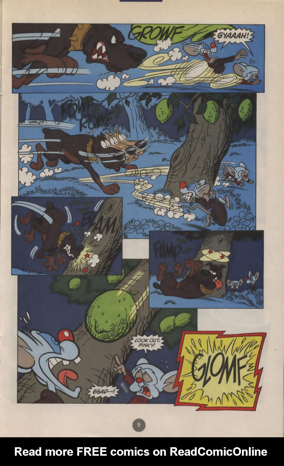 Pinky and The Brain Issue #2 - Page 8
