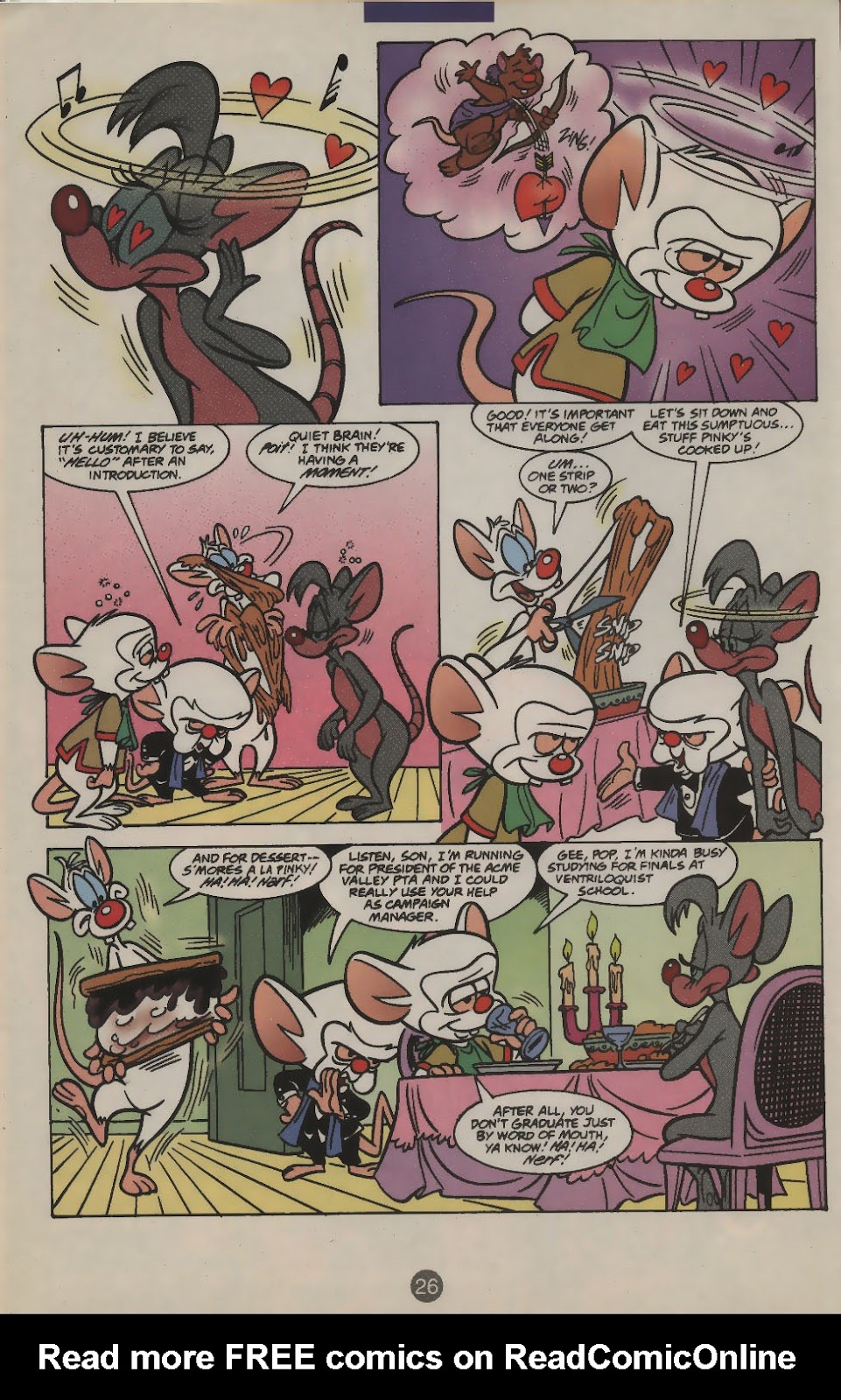 Pinky and The Brain Issue #21 - Page 19