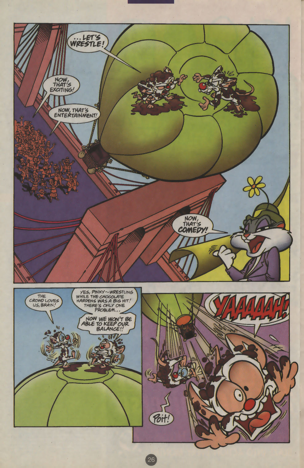 Pinky and The Brain Issue #22 - Page 19