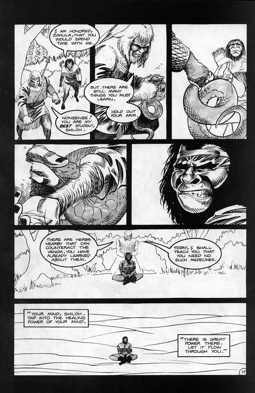 Planet of the Apes (1990) Issue #20 - Page 19