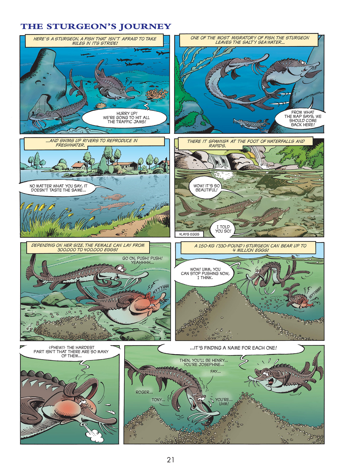 Sea Creatures Issue #1 - Page 23