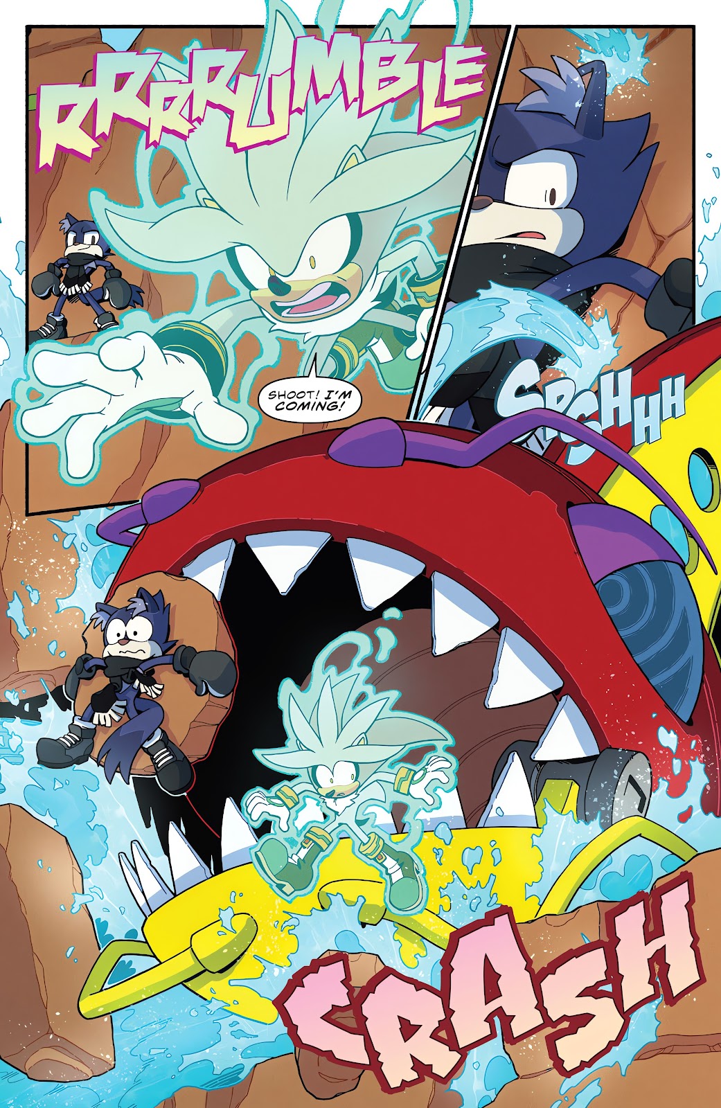 Sonic the Hedgehog (2018) Issue #63 - Page 10