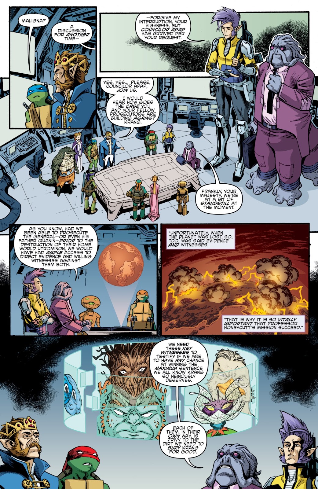 Teenage Mutant Ninja Turtles (2011) Issue #73 - Page 14