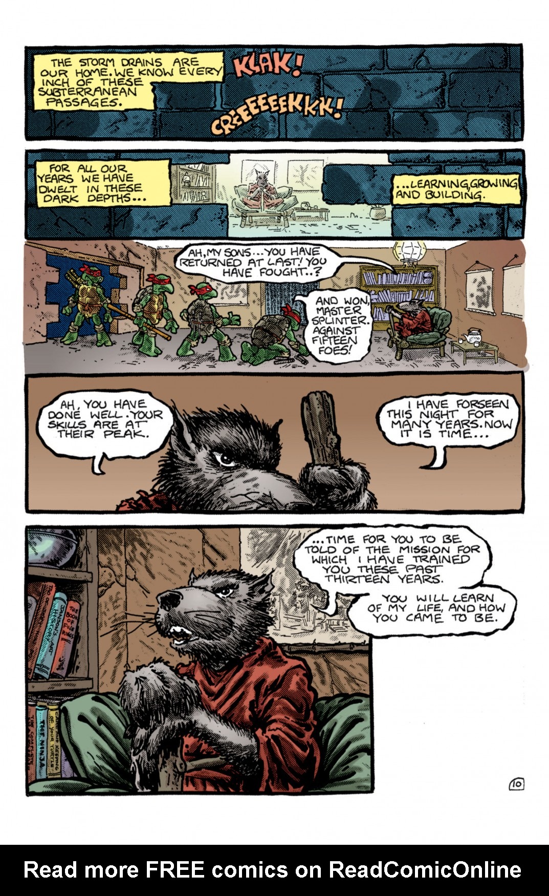 Teenage Mutant Ninja Turtles Color Classics (2012) Issue #1 - Page 11