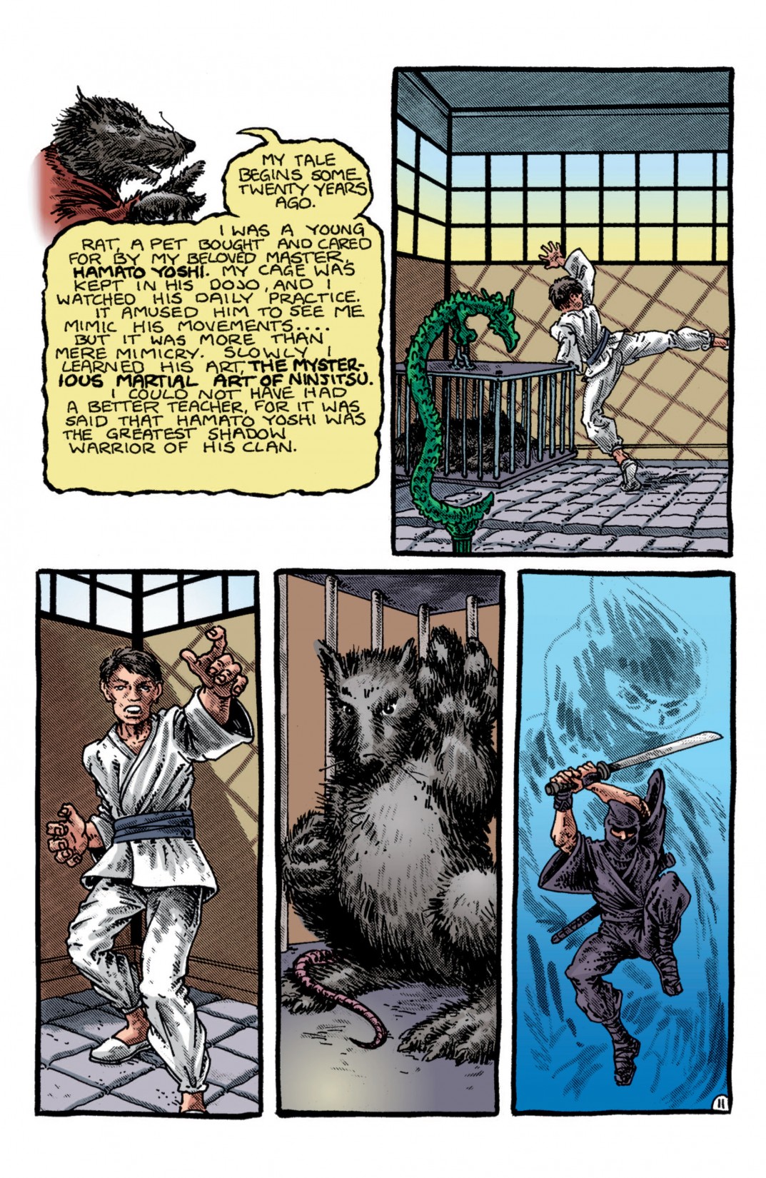 Teenage Mutant Ninja Turtles Color Classics (2012) Issue #1 - Page 12