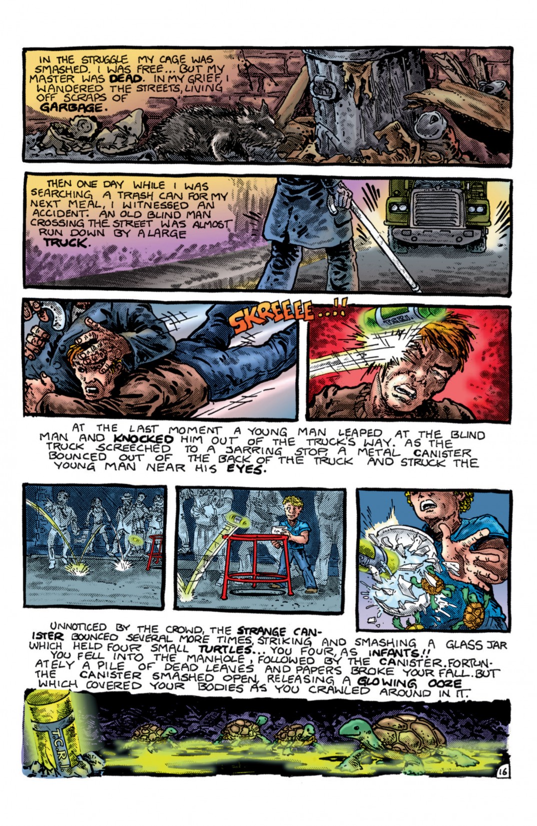 Teenage Mutant Ninja Turtles Color Classics (2012) Issue #1 - Page 17