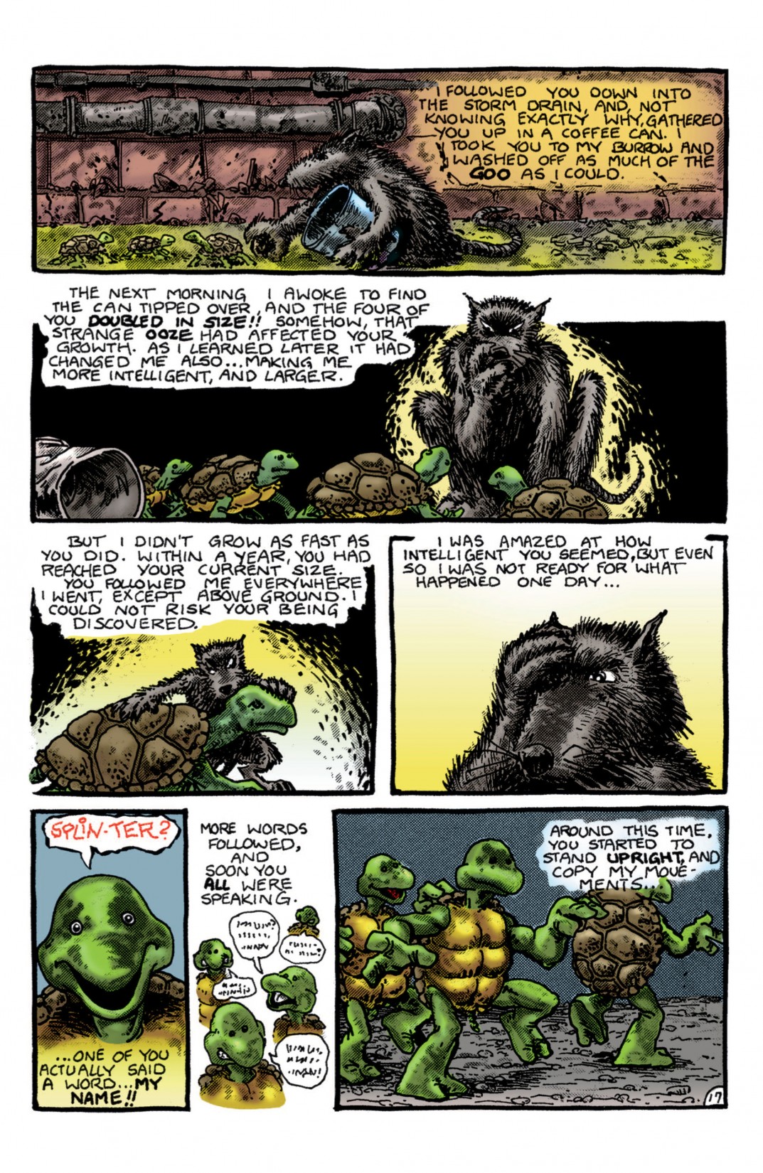 Teenage Mutant Ninja Turtles Color Classics (2012) Issue #1 - Page 18