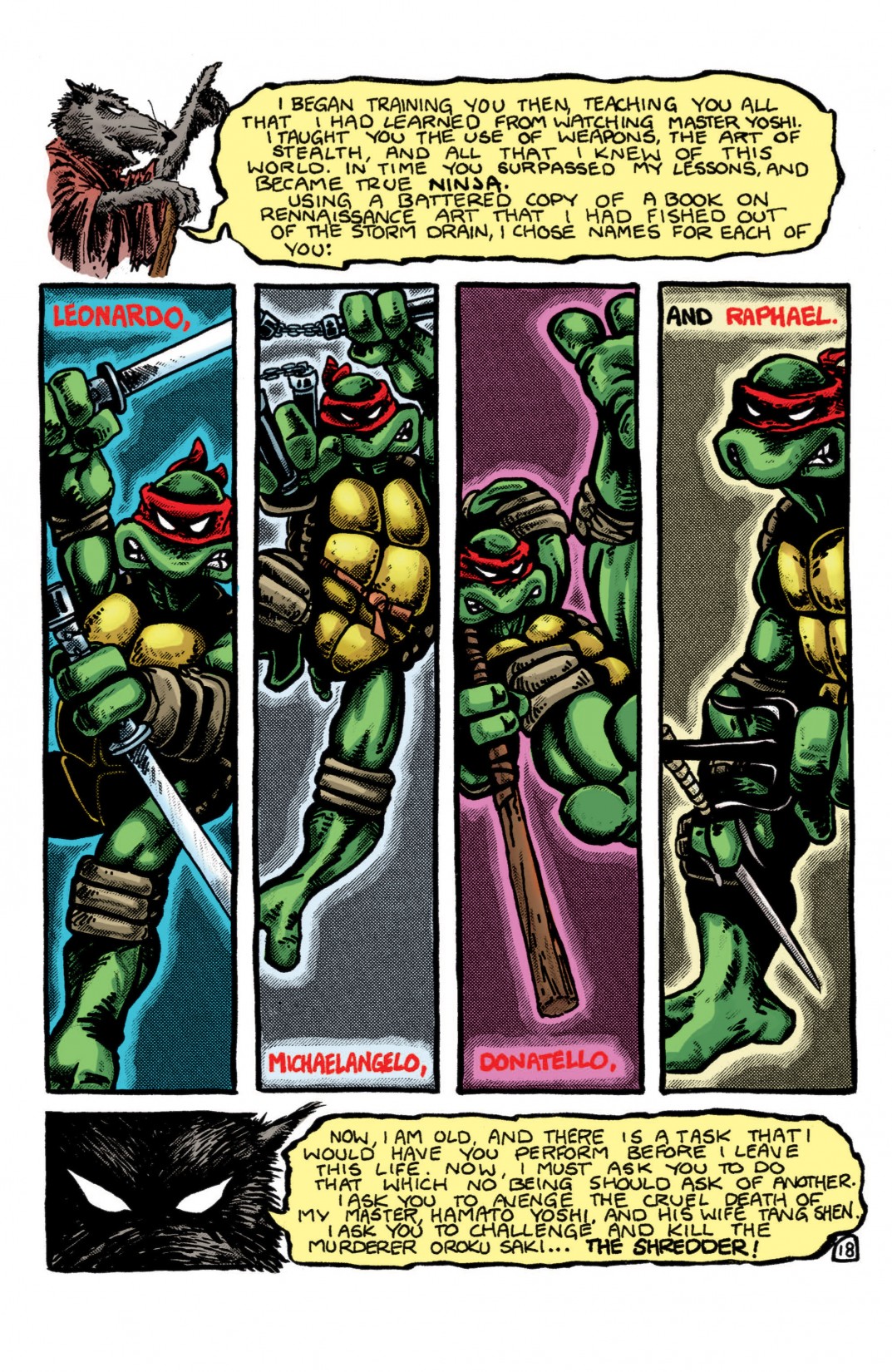 Teenage Mutant Ninja Turtles Color Classics (2012) Issue #1 - Page 19