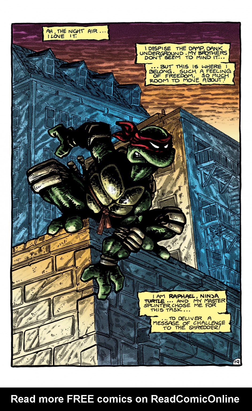 Teenage Mutant Ninja Turtles Color Classics (2012) Issue #1 - Page 20