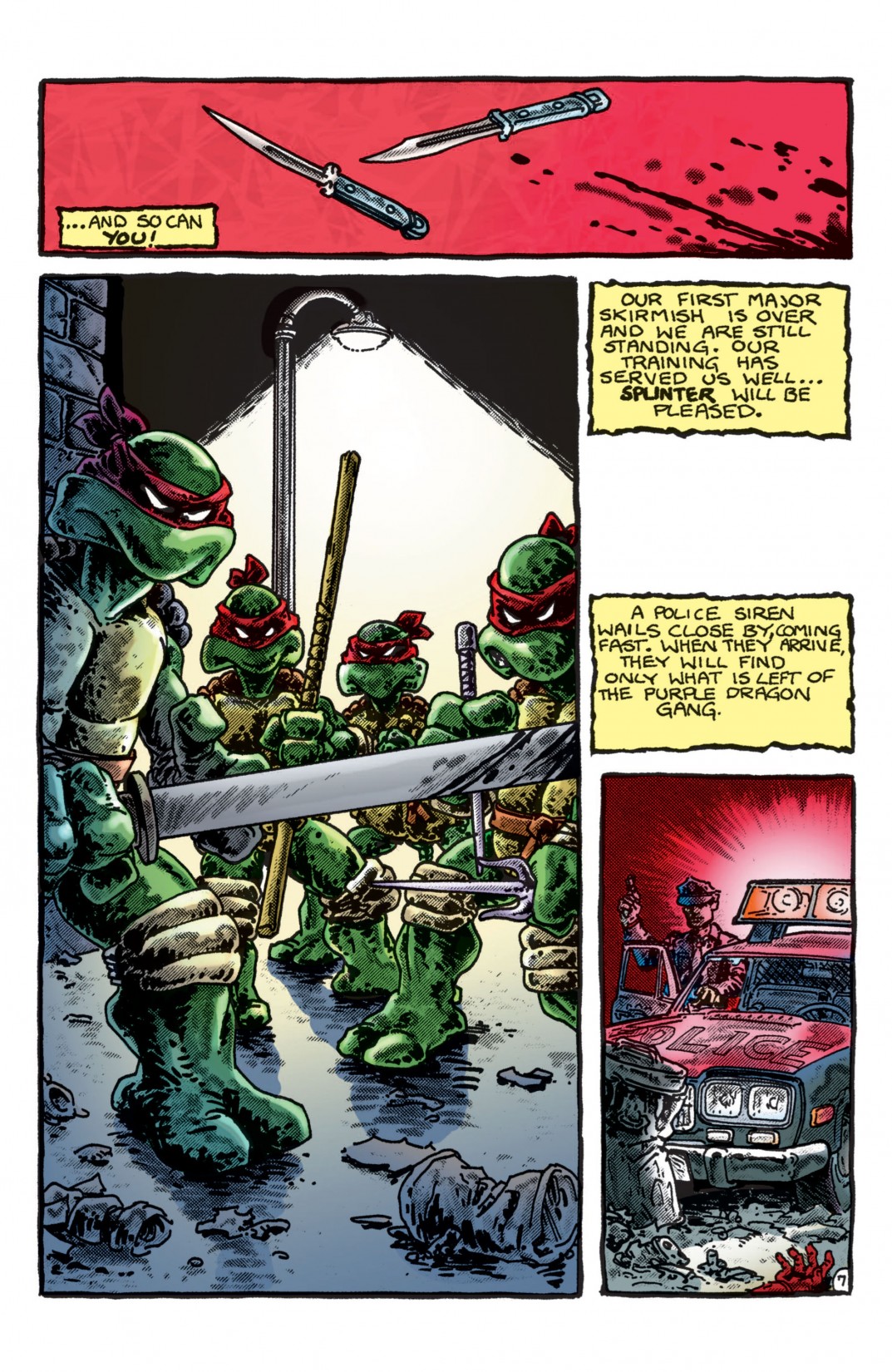 Teenage Mutant Ninja Turtles Color Classics (2012) Issue #1 - Page 8