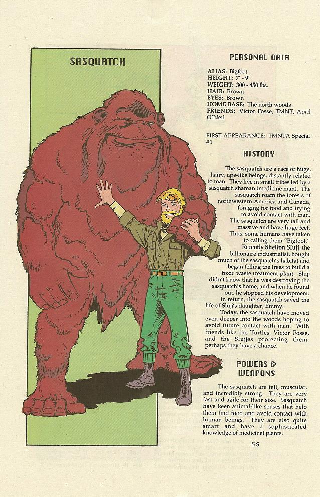 Teenage Mutant Ninja Turtles Mutant Universe Sourcebook Issue #2 - Page 14