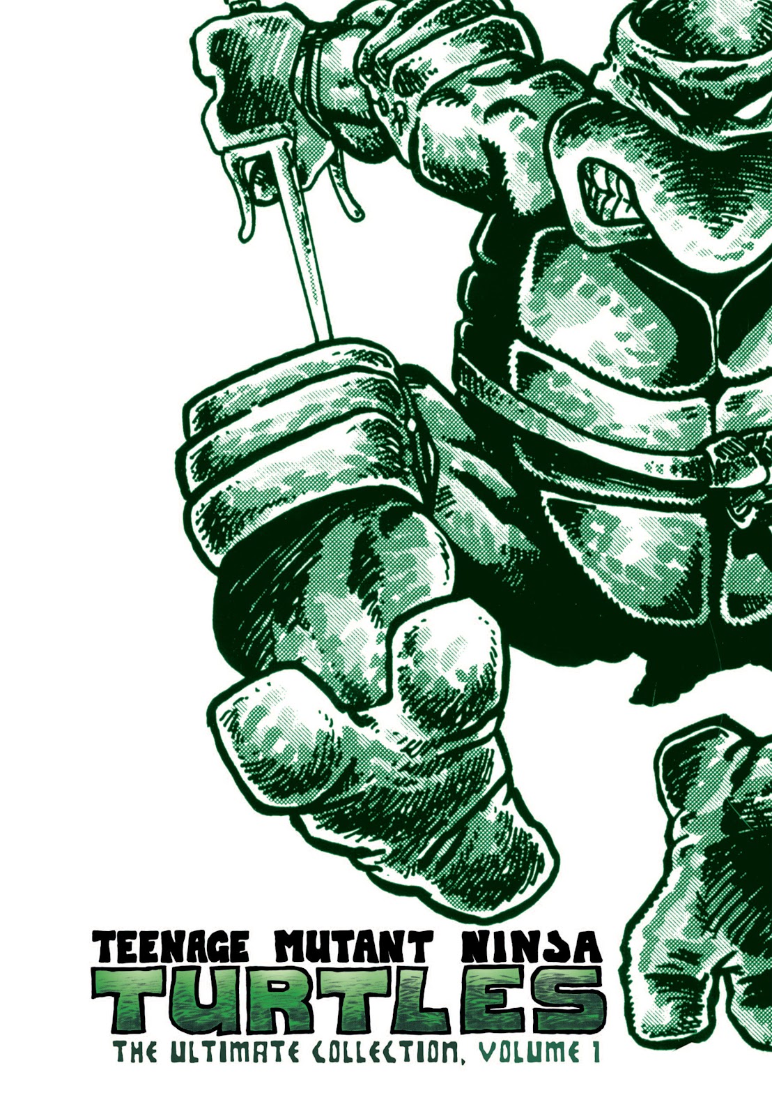 Teenage Mutant Ninja Turtles: The Ultimate Collection TPB_1_(Part_1) - Page 2